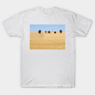 Wheat Field by Avril Thomas photography - South Australian Artist T-Shirt